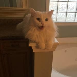 Meet your Posher, Melissa